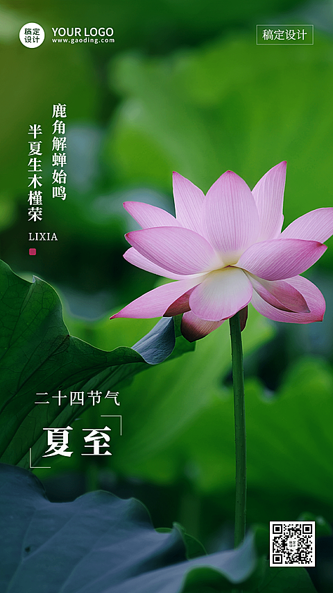 夏至节气祝福排版手机海报