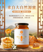 模板缩略图