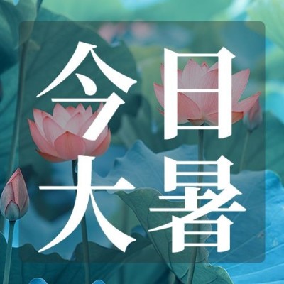 大暑节气祝福公众号次图