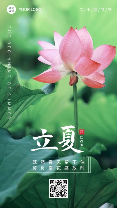 立夏节气祝福荷花排版手机海报