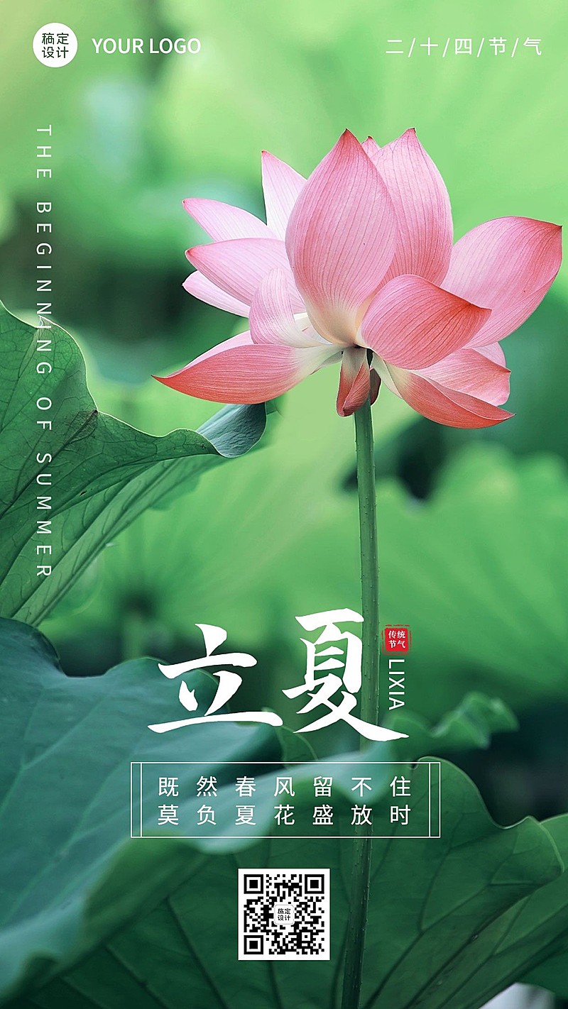 立夏节气祝福荷花排版手机海报