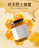 模板缩略图