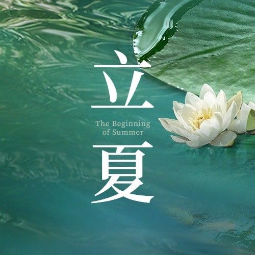 立夏节气祝福实景公众号次图预览效果