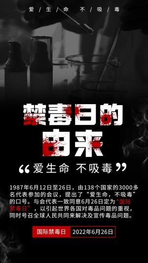 国际禁毒日节日宣传手机海报