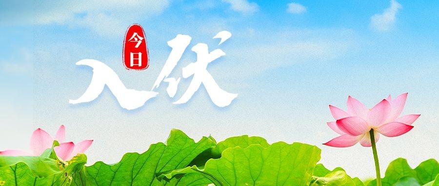 初伏祝福问候公众号首图预览效果