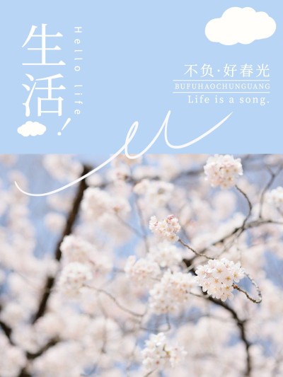 电影杂志风景花晒照海报风plog模板