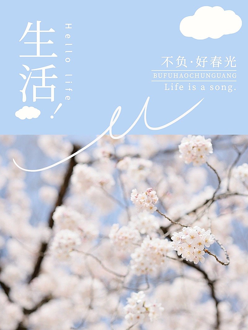 电影杂志风景花晒照海报风plog模板