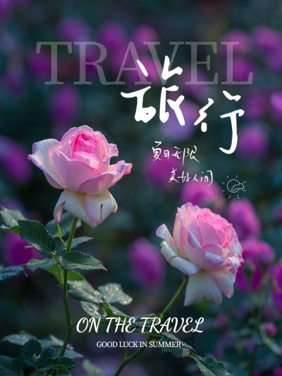 旅行出行风景照杂志风plog模板