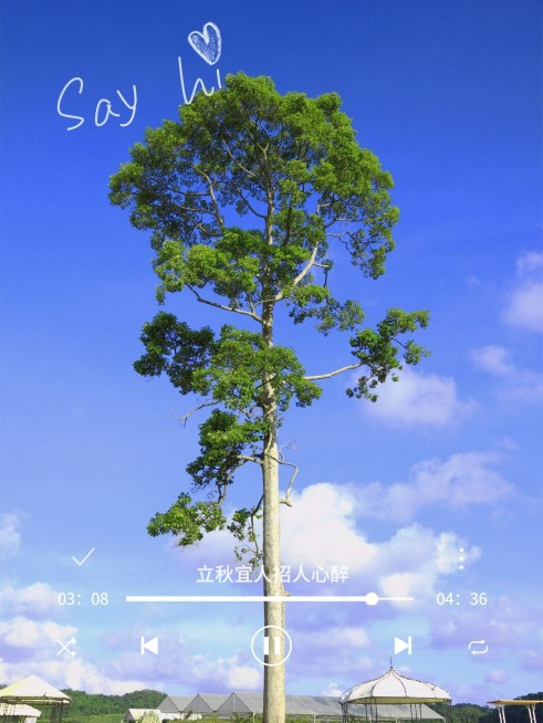 立秋晒风景户外节气简约风plog模板预览效果