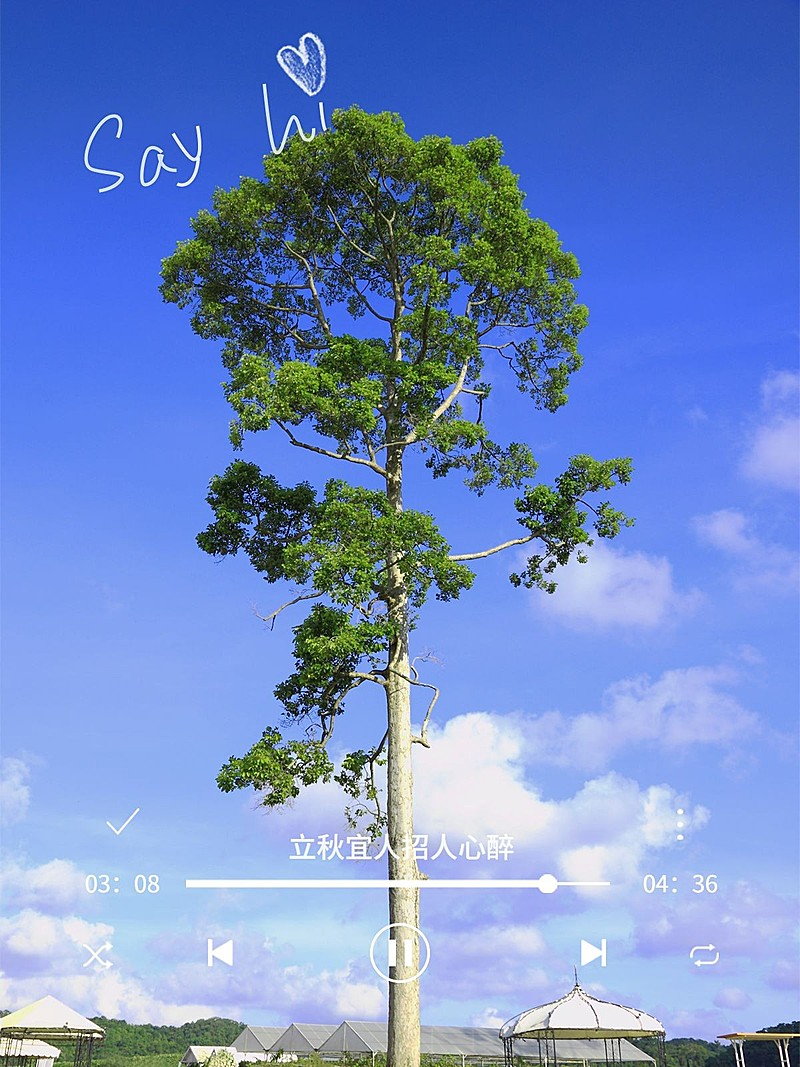 立秋晒风景户外节气简约风plog模板