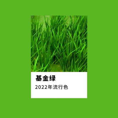 韭菜理财股票基金搞笑沙雕表情包