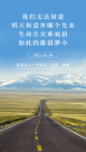 模板缩略图