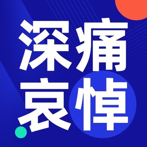 简约大字逝世纪念哀悼缅怀方形公众号次图预览效果