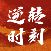 模板缩略图
