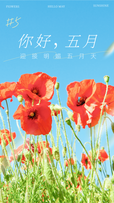 通用5月你好月初问候文艺手机海报