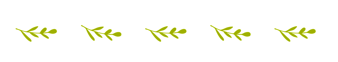 春天夏天节气动态分割线预览效果
