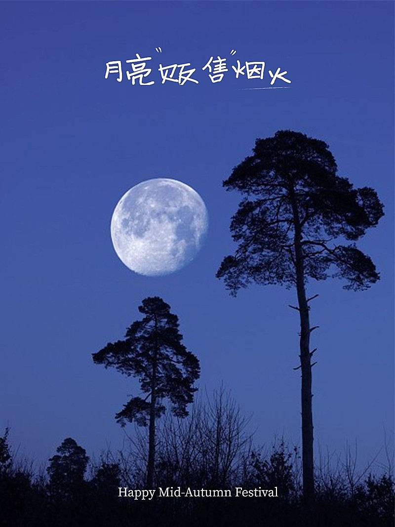 中秋节祝福简约风晒照plog