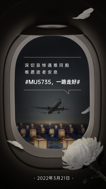 沉痛哀悼空难事件手机海报预览效果