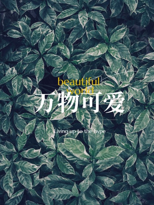 摄影排版风景照简约风plog模板预览效果