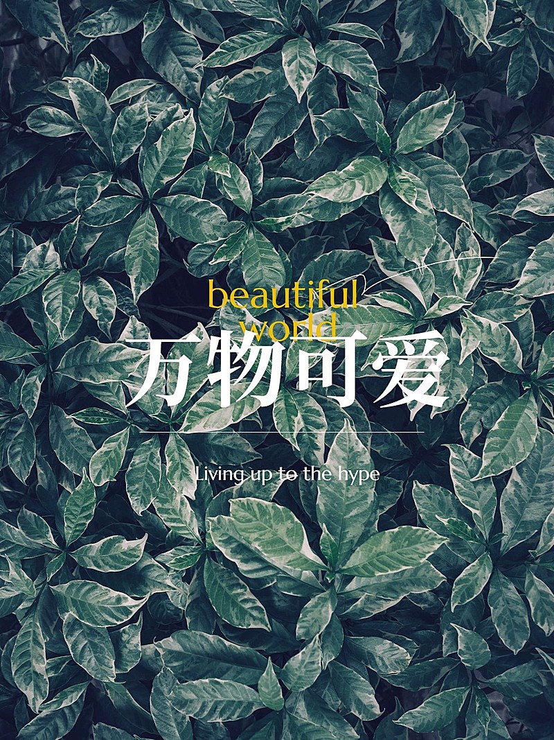 摄影排版风景照简约风plog模板