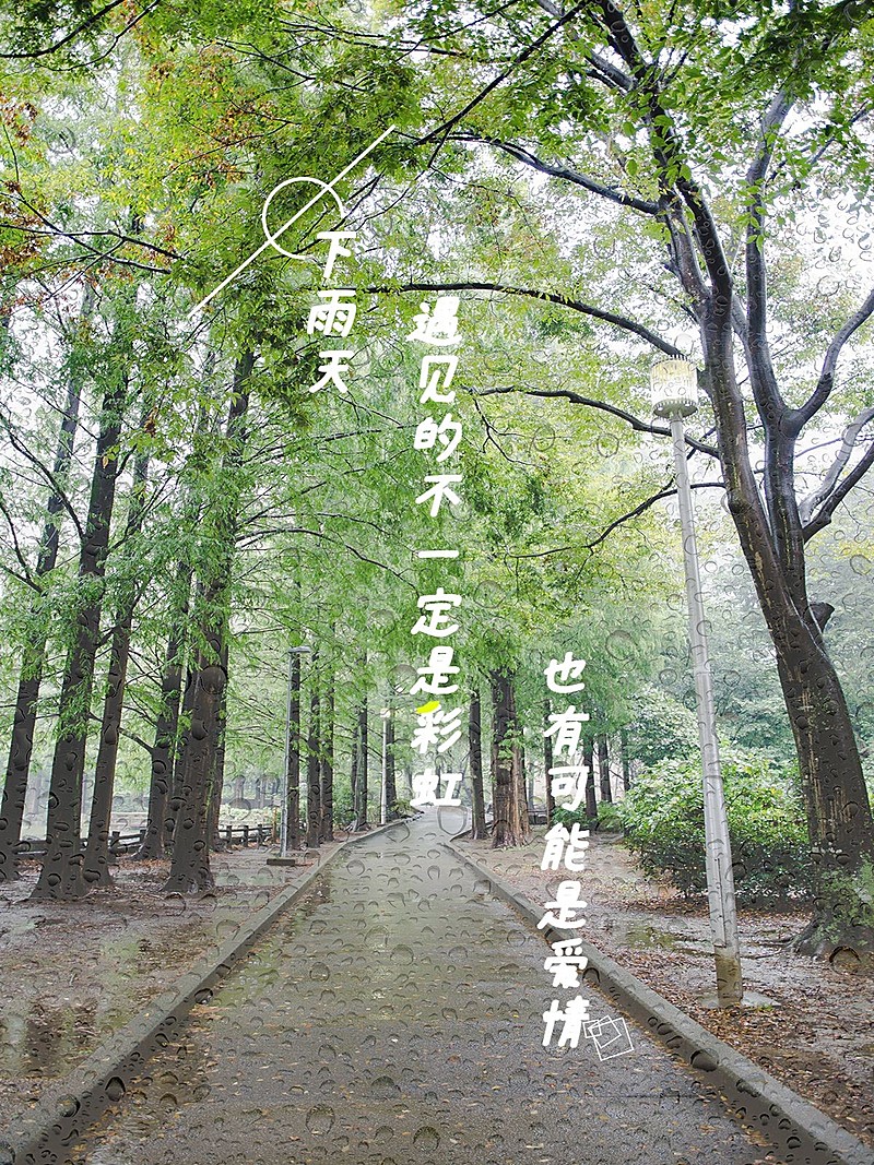 天气情绪户外风景记录简约风plog模板