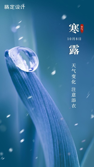 企业实景寒露节气海报
