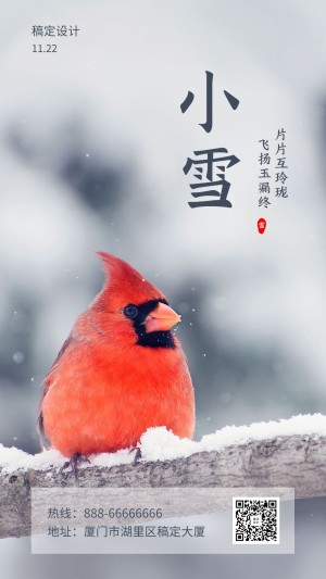 小雪/节气/实景/手机海报