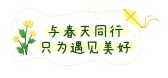 模板缩略图