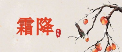 霜降/插画/公众号首图
