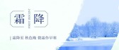模板缩略图
