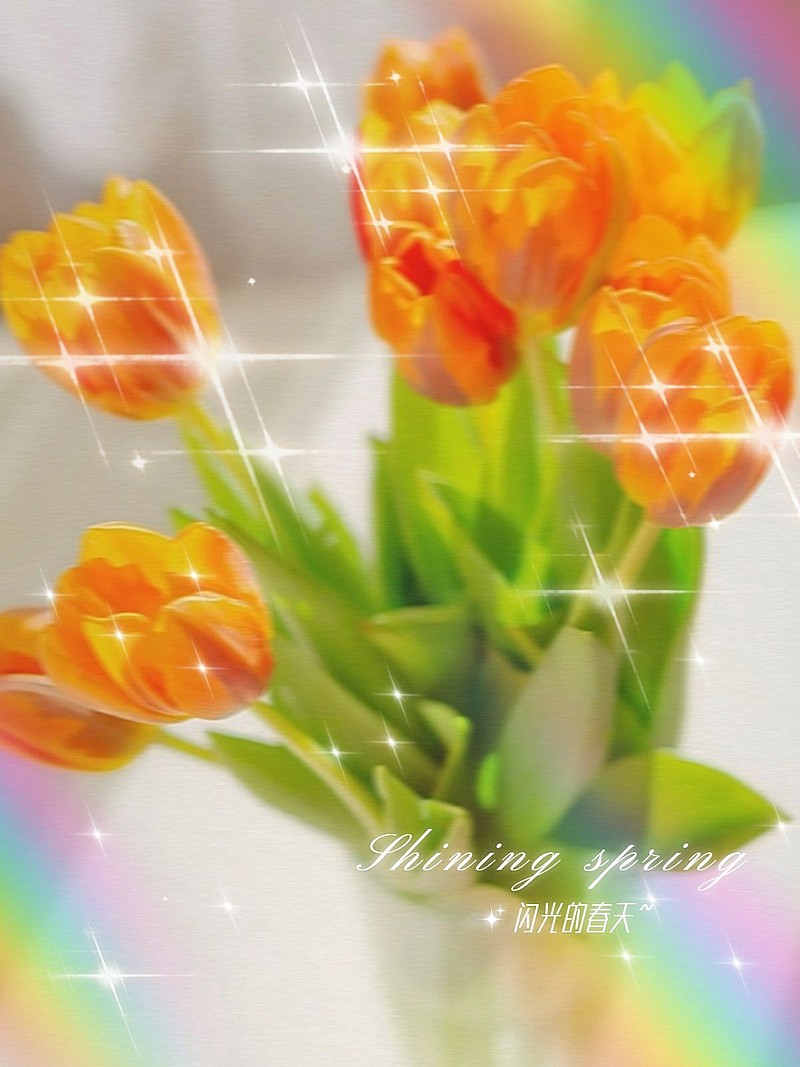 春天模糊闪光生活分享文艺风plog模板