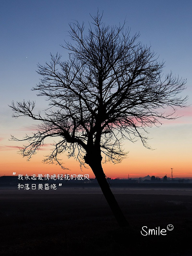 风景天空云朵晒照文艺风plog模板