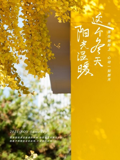 冬季银杏生活分享季节问候模板
