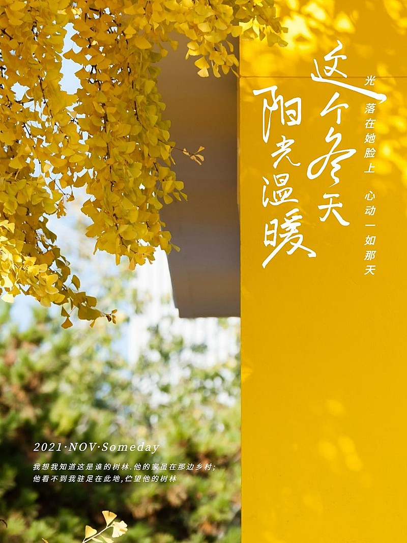 冬季银杏生活分享季节问候模板