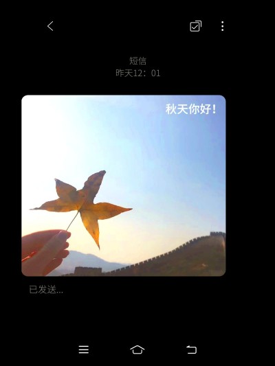秋天风景晒照plog