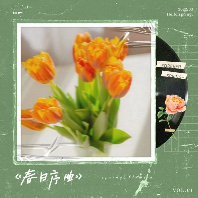 春天花音乐播放器模拟复古风plog模板