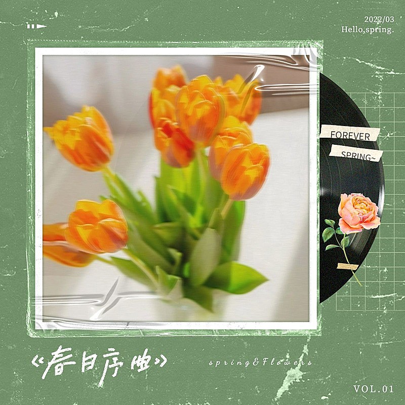 春天花音乐播放器模拟复古风plog模板