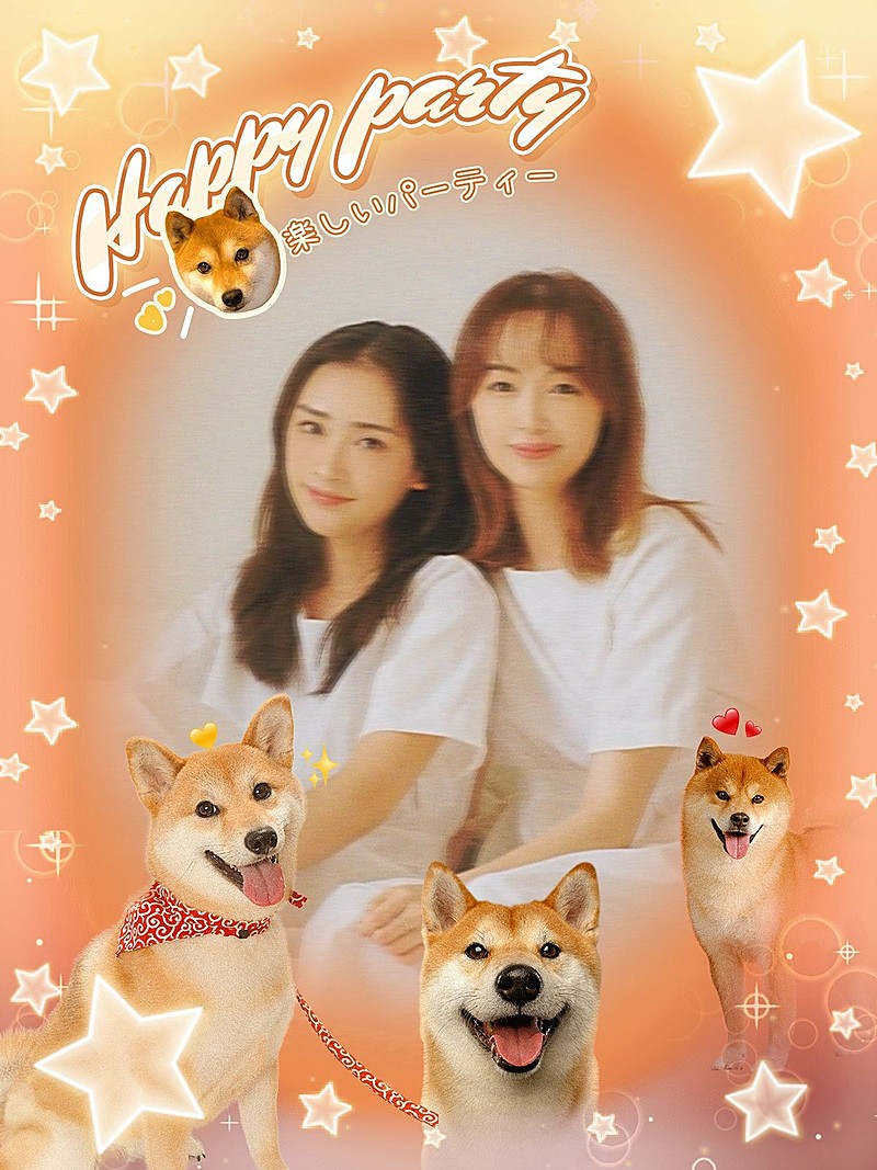 热点响应小狗创意玩法复古可爱风plog模板