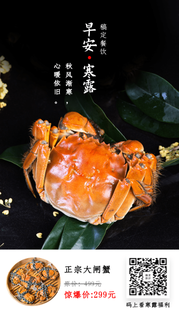 寒露促销问候预览效果