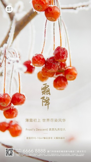 房地产节气祝福节气营销简约海报预览效果