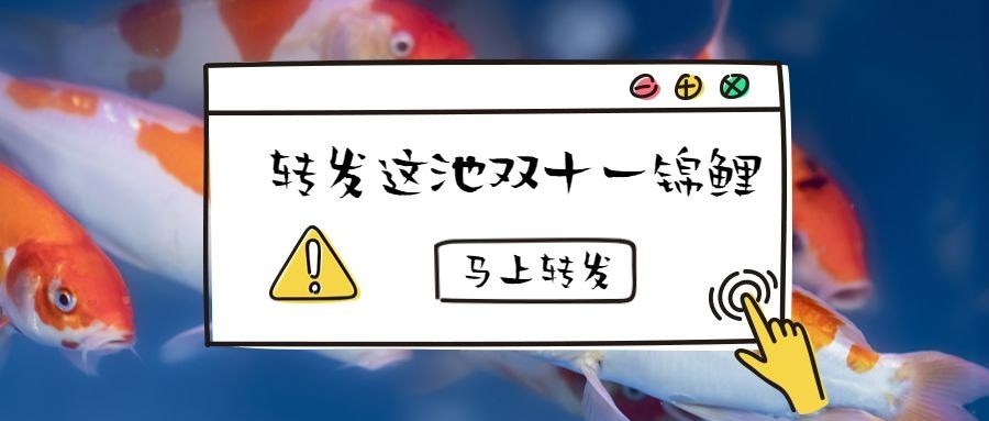 转发这池锦鲤公众号首图预览效果