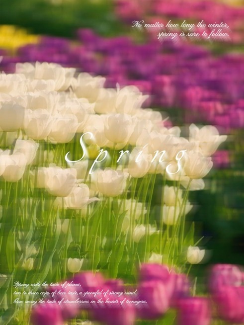 春天风景照慢镜头滤镜文艺风plog模板预览效果