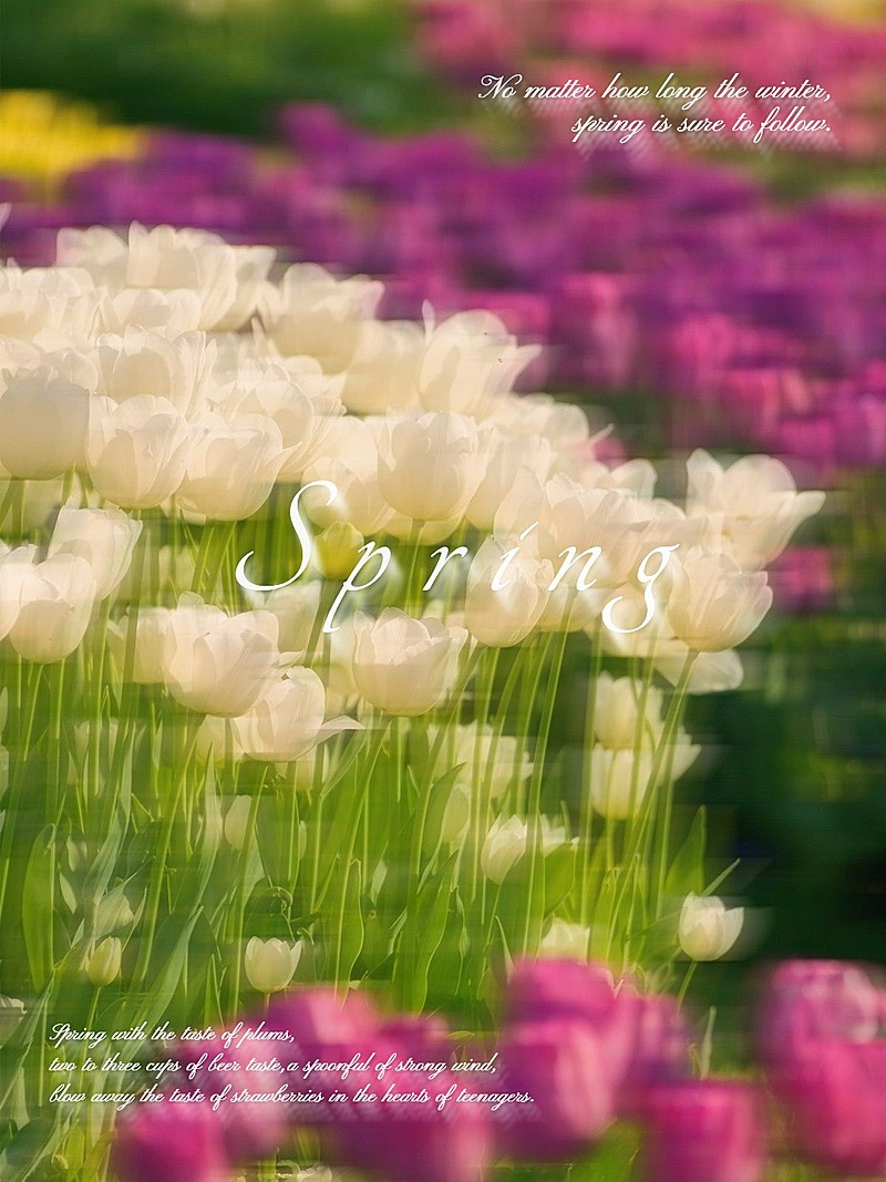 春天风景照慢镜头滤镜文艺风plog模板