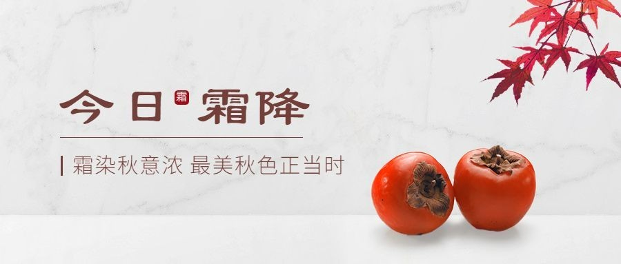霜降节气祝福柿子枫叶实景合成公众号首图