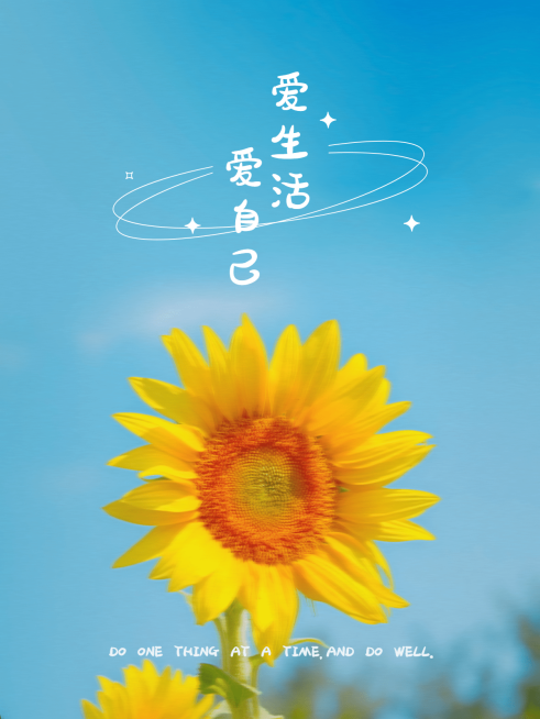 天空云朵生活分享简约风plog模板预览效果