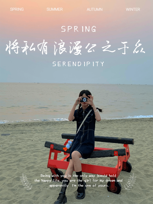 合照情侣记录分享简约风polg模板预览效果