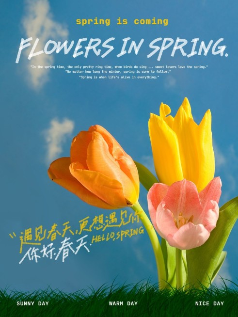 春天春游自拍晒照plog模板预览效果