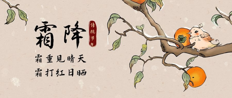 霜降节气祝福柿子手绘公众号首图