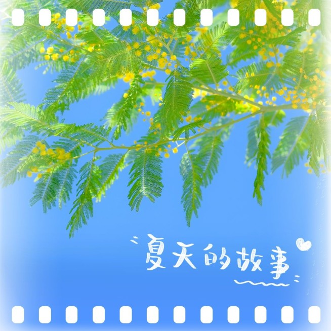 夏天晒风景晒照简约风plog模板预览效果