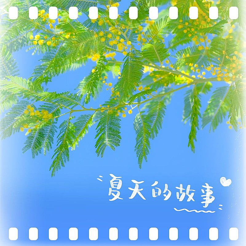 夏天晒风景晒照简约风plog模板